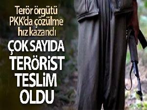 İçişleri Bakanlığı: 'PKK'dan kaçan 7 terörist daha güvenlik güçlerine teslim oldu'