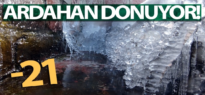 Sağlık Bakanı Fahrettin Koca: 'Çin'den aşı Pazar gecesi yola çıkıyor'