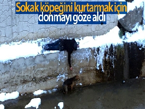Soğuk kış gününde Gümüşhane'den iç ısıtan görüntüler