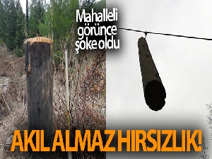 Antalya'da akıl almaz hırsızlık olayı