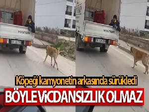 Köpeği kamyonetin arkasında sürükledi