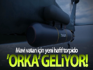 Yeni yerli ve milli hafif torpido 'ORKA' geliyor