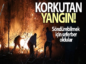 Sakarya İl Ormanında korkutan yangın