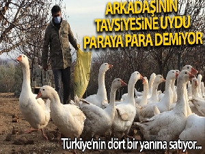 Arkadaşının tavsiyesine uydu şimdi paraya para demiyor: Türkiye'nin dört bir yanına kaz ve yumurta satıyor