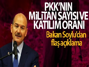 Bakan Soylu'dan PKK'nın militan sayısı ve katılım oranı ile ilgili flaş açıklama