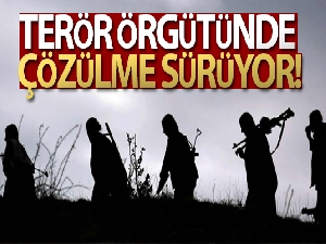 İkna çalışması sonucu, 2 örgüt mensubu daha güvenlik güçlerine teslim oldu