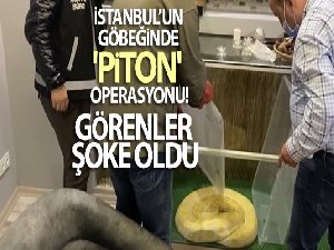 İstanbul'un göbeğinde 'piton' operasyonu kamerada