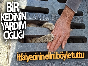 Yağmur suyu mazgalına sıkışan yavru kedi kurtarıldı