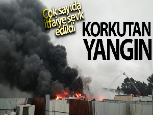 İstanbul Tuzla'da fabrika bahçesinde korkutan yangın