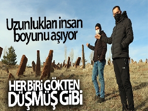 Uzunlukları insan boyunu aşıyor, her biri gökten düşmüş gibi