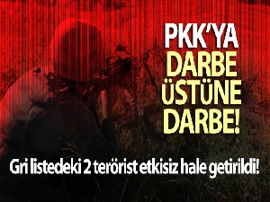 Gri listedeki 2 terörist etkisiz hale getirildi