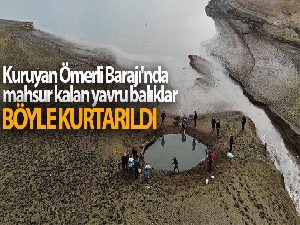 Kuruyan Ömerli Barajı'nda mahsur kalan yavru balıkları kurtarma operasyonu havadan görüntülendi