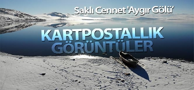 Basın Ekspres yolunda feci kaza: Bariyer ok gibi saplandı