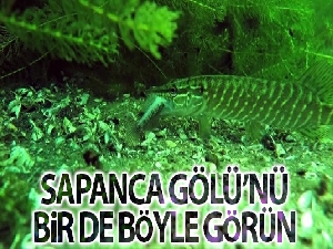 Sapanca Gölünün dibini ilk kez böyle göreceksiniz