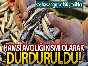 Hamsi avcılığı kısmi olarak durduruldu