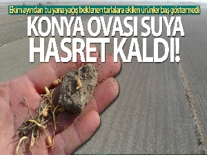 Konya Ovası suya hasret kaldı