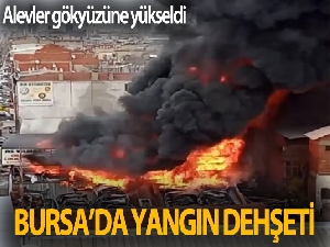 Bursa'da yangın dehşeti...Alevler gökyüzüne yükseldi