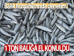 İstanbul'da balık tezgahlarında denetim yapıldı: 1 ton balığa el konuldu