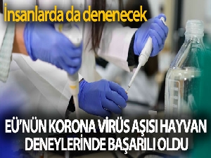 EÜ'nün korona virüs aşısı hayvan deneylerinde başarılı oldu