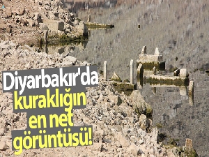 Diyarbakır'da kuraklığın en net görüntüsü ortaya çıktı