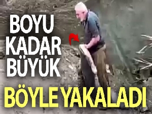 Yeşilırmak'ta boyu kadar balığı böyle yakaladı