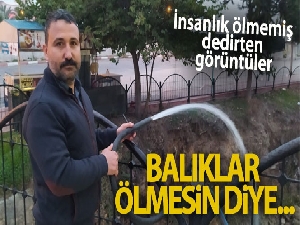 İnsanlık ölmemiş dedirtti, balıklar ölmesin diye hortumla su veriyor
