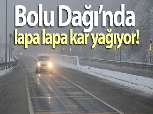 Bolu Dağı'nda lapa lapa kar yağıyor