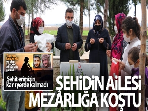 Haberi alan şehidin ailesi mezarlığa koştu
