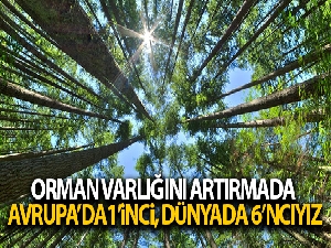 Türkiye orman varlığını artırmada Avrupa'da 1'inci, dünyada 6'ncı