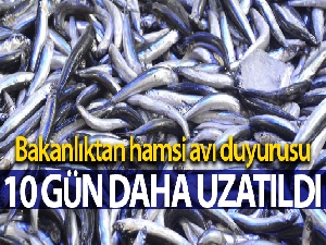 Hamsi avı yasağı 10 gün daha uzatıldı