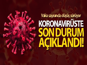 Türkiye'de son 24 saatte 7.550 koronavirüs vakası tespit edildi