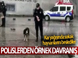 Polislerden örnek davranış, kar yağışında sokak hayvanlarını beslediler