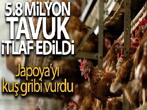 Japonya'da kuş gribi salgınında 5.8 milyon tavuk itlaf edildi