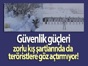 Şırnak'ta güvenlik güçleri, zorlu kış şartlarında da teröristlere göz açtırmıyor