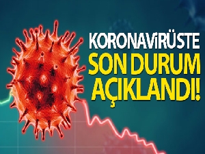 Türkiye'de son 24 saatte 6.435 koronavirüs vakası tespit edildi