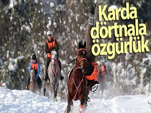 Uludağ'ın eteklerinde dörtnala özgürlük