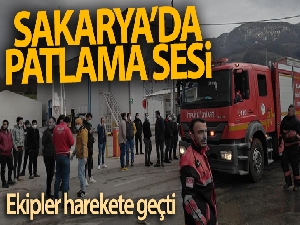 Sakarya'daki patlama sesinin kaynağı belli oldu