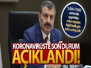 Türkiye'de son 24 saatte 7.103 koronavirüs vakası tespit edildi