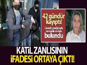 Arzu Aygün'ün katil zanlısının ifadesi ortaya çıktı!