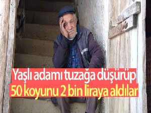 Yaşlı adamı tuzağa düşürüp 50 koyunu 2 bin liraya aldılar