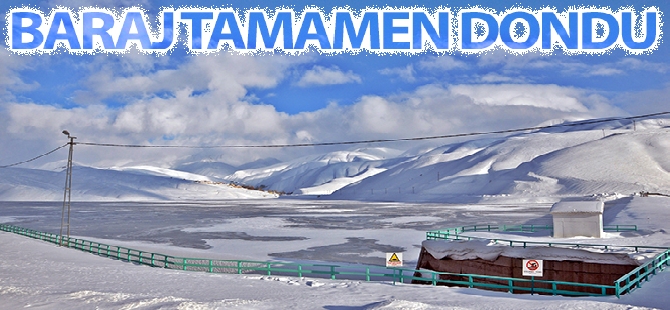 Manisa'da korkunç infaz: 4 ölü