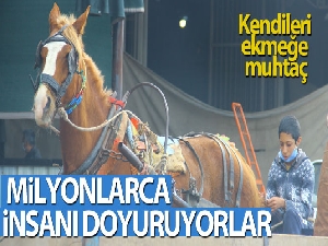 Milyonlarca insanı doyuruyorlar, kendileri ekmeğe muhtaç