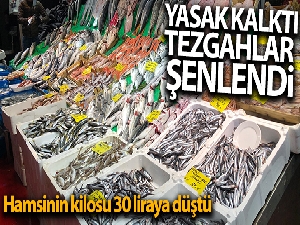 Hamsi yasağının kalkması ile birlikte tezgahlar şenlendi