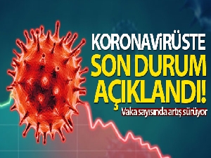 Türkiye'de son 24 saatte 8.102 koronavirüs vakası tespit edildi