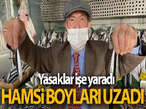 Yasaklar işe yaradı, hamsi boyları uzadı