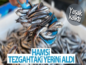 Yasak kalktı hamsi tezgahtaki yerini aldı