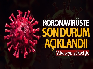 Türkiye'de son 24 saatte 8.103 koronavirüs vakası tespit edildi