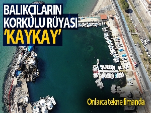 Balıkçıların korkulu rüyası ‘Kaykay': 1 ay sonra yine salya ile döndüler
