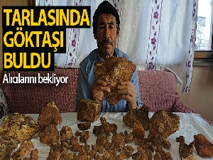 Tarlasında bulduğu göktaşı için müşteri bekliyor