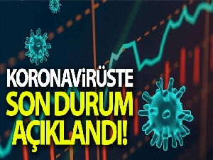 Türkiye'de son 24 saatte 11.520 koronavirüs vakası tespit edildi